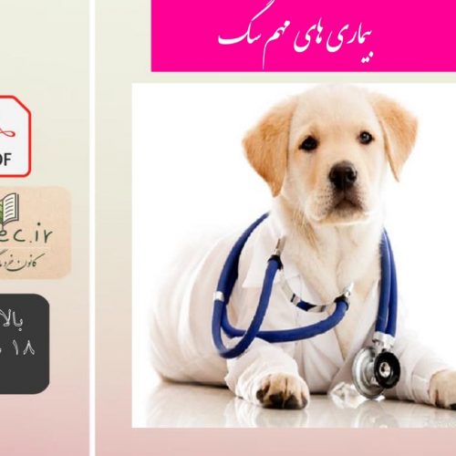 بیماری های مهم سگ