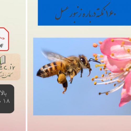 ۱۶۰ نکته درباره زنبور عسل