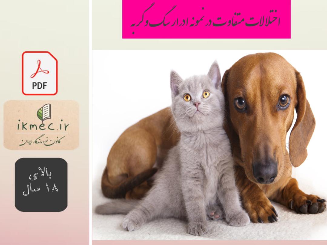 اختلالات متداول در نمونه ادرار سگ و گربه